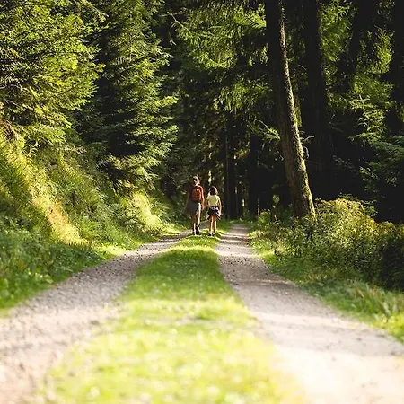 Ogsaint Nazaire Anaiade